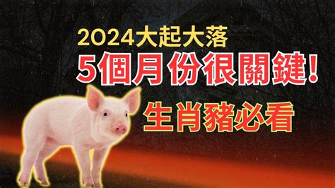 2024年生肖運程猪|【屬豬2024生肖運勢】暗湧頻生，運勢反覆｜屬豬運 